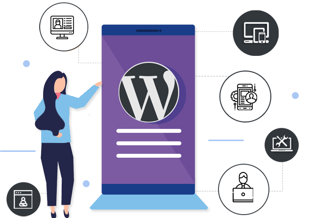 WordPress Developer